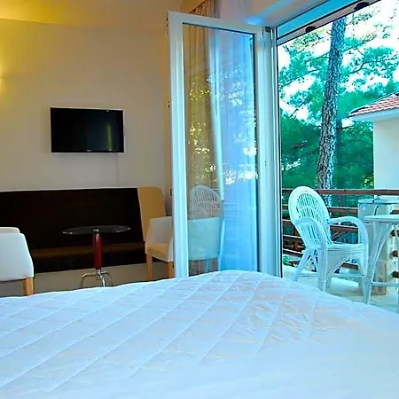 Art Media Hotel 4*